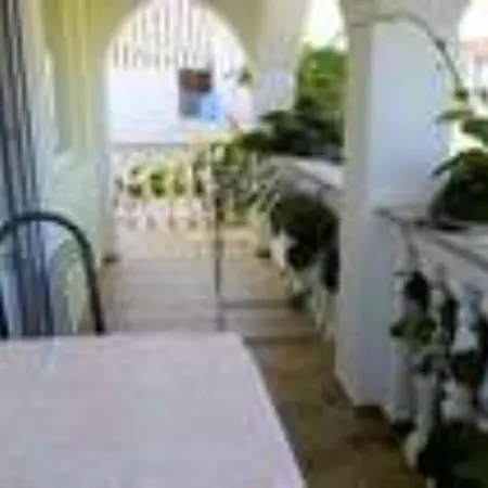 Apartment Hasic *