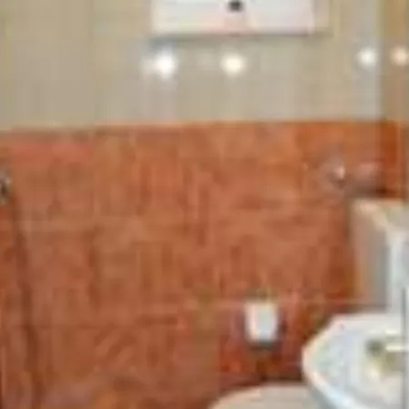 Apartment Hasic *