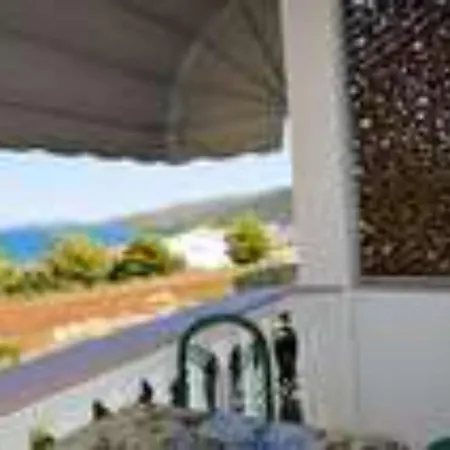 Hasic Marina