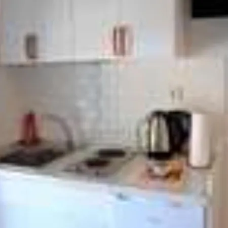 Hasic Apartman *