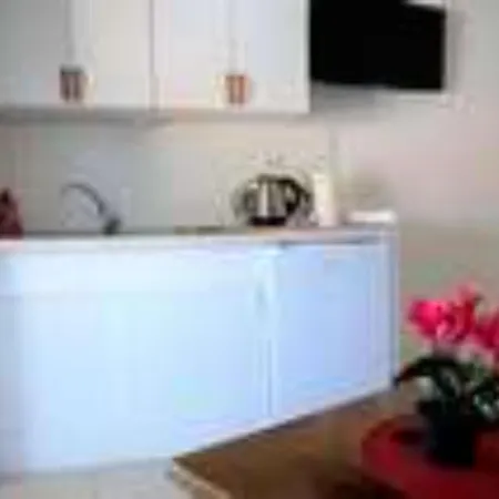 Apartment Hasic *